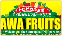 OKINAWA�t���[�c����